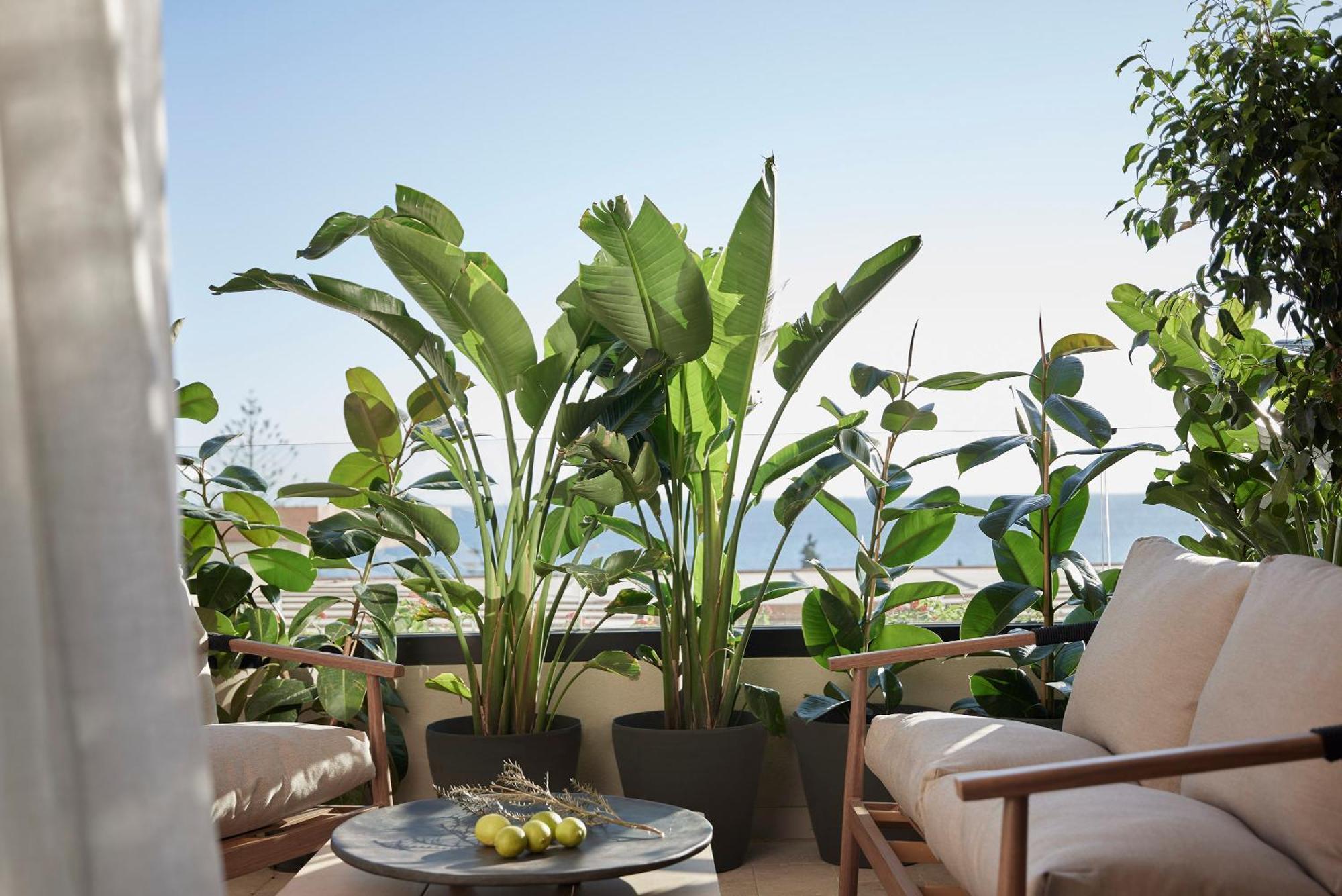 Helea Lifestyle Beach Resort Kallithea  ภายนอก รูปภาพ A balcony garden